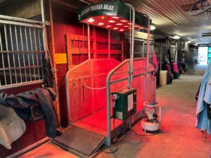 Hästsolarium massage Horse-Trainer Relax