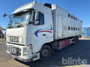 Djurbil VOLVO FH-480 6*2