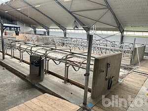 Liggbås Nötkreatur 74 styck bås